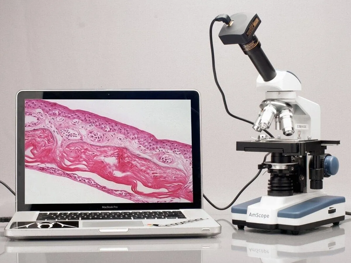 AmScope M620 Series Monocular LED Compound Microscope 40X-2500X Magnification With 1.3MP USB 2.0 C-mount Camera