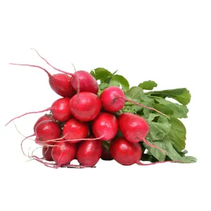 Certified Organic Red Radish (bunch)