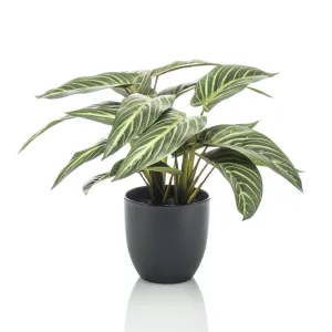 Emerald Artificial Calathea Zebrina 38 cm in Pot