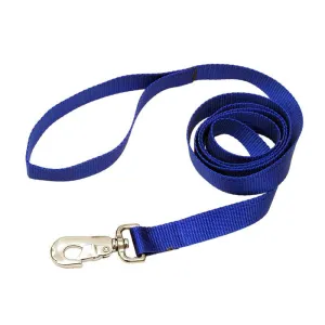 Nylon Leash