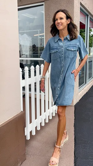 Phoenix Denim Dress