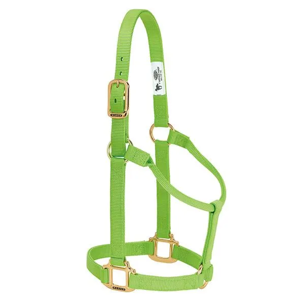 Weaver Average Horse Non-Adjustable 1" Nylon Halter