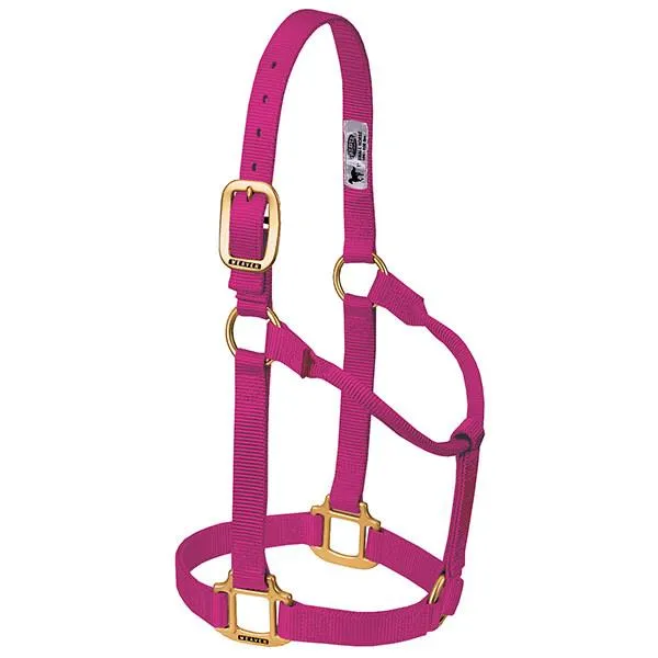 Weaver Average Horse Non-Adjustable 1" Nylon Halter