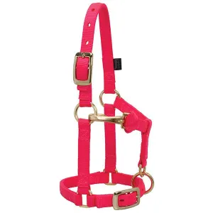 Weaver Large Miniature Horse Adjustable 5/8" Nylon Halter